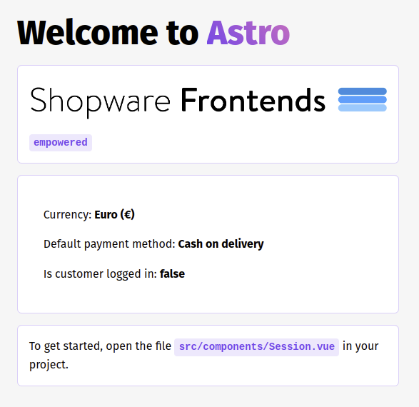 Demo Store Template Screenshot